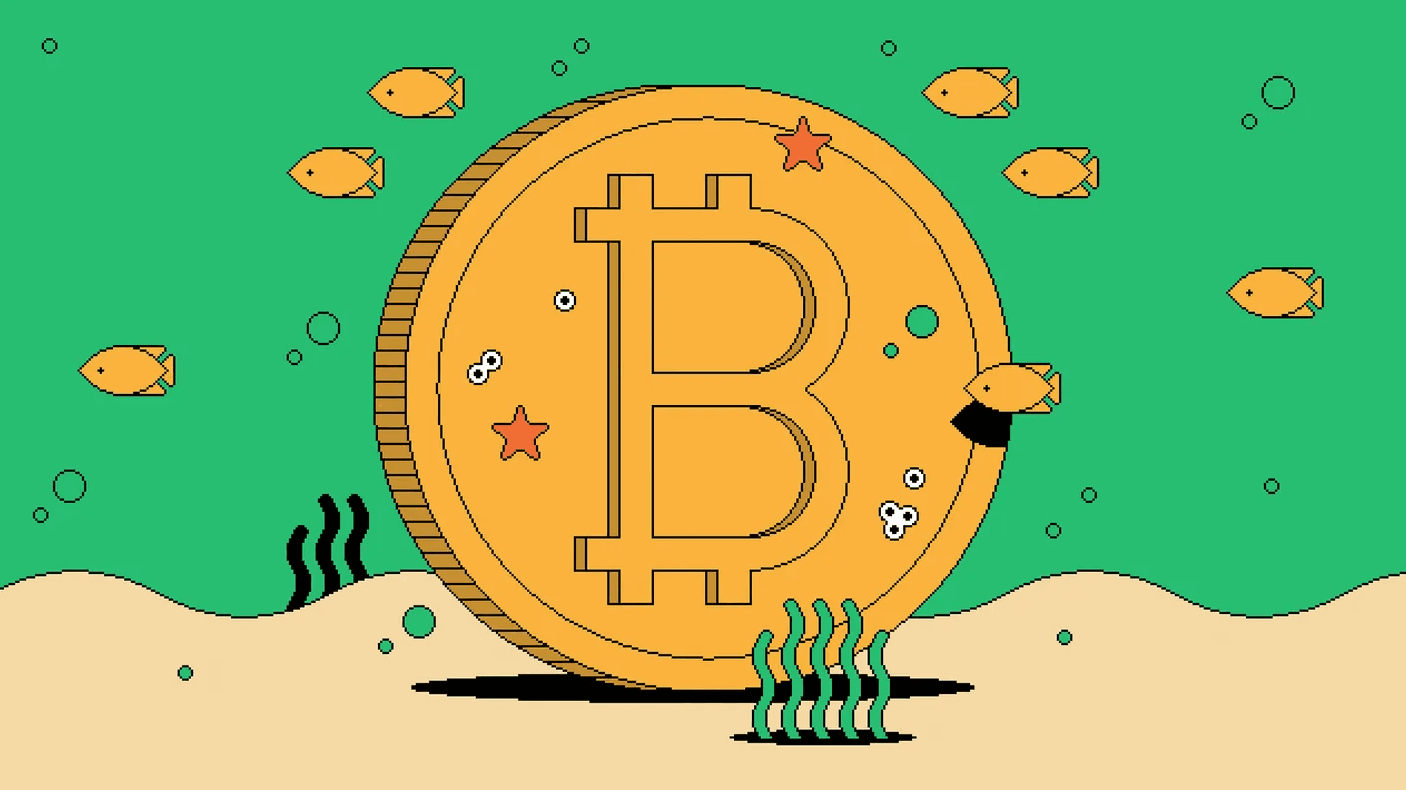 bitsbitcoin-launches-newly-designed-website